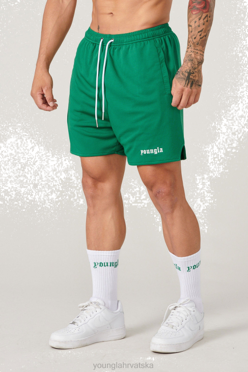 lišće zeleno
